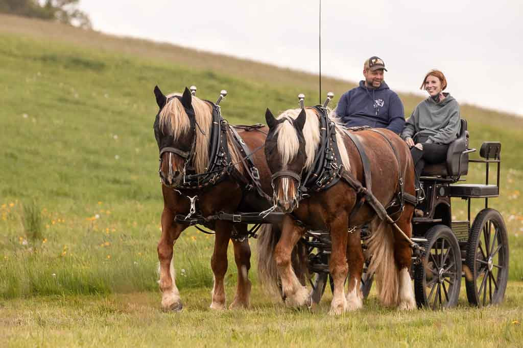 Fuhrmannstreffen in Odwimm